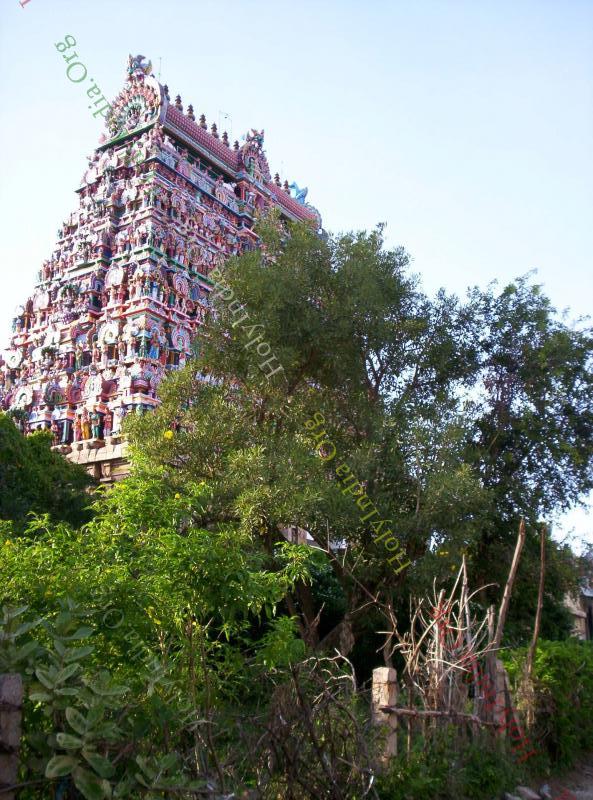 /templeimages/00001_028_chidambaram_temple.jpg