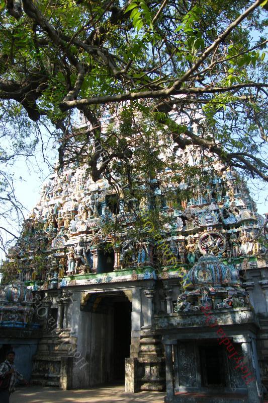 /templeimages/00016_004_vaitheeswaran_koil_temple.jpg