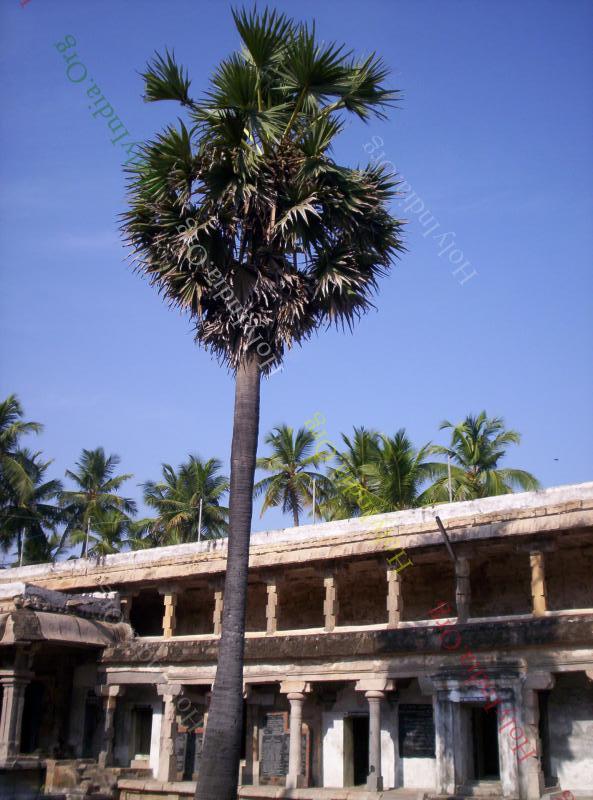 /templeimages/00054_008_thirumazhapadi_temple.jpg