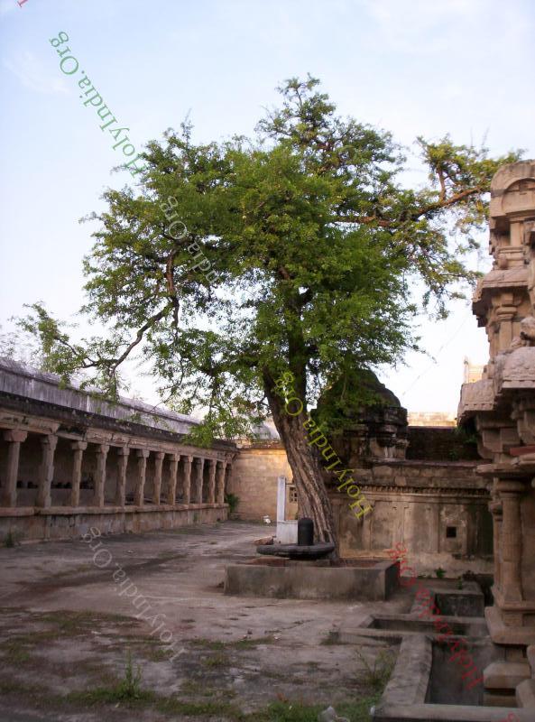 /templeimages/00077_009_thiruvedhikudi_temple.jpg