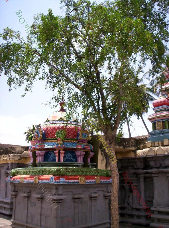 /templeimages/00082_007_thirupalaiyur_temple.jpg