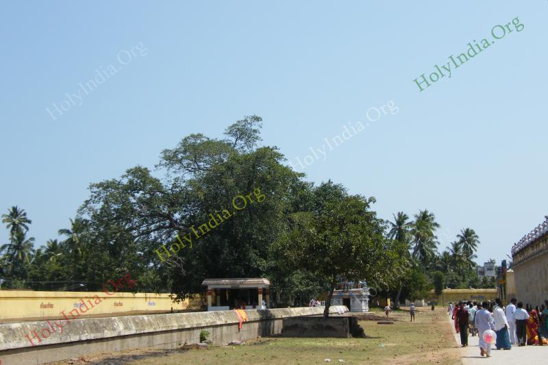 /templeimages/00101_078_tiruvazhundur_temple.jpg