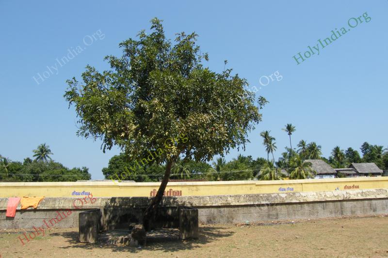 /templeimages/00101_080_tiruvazhundur_temple.jpg