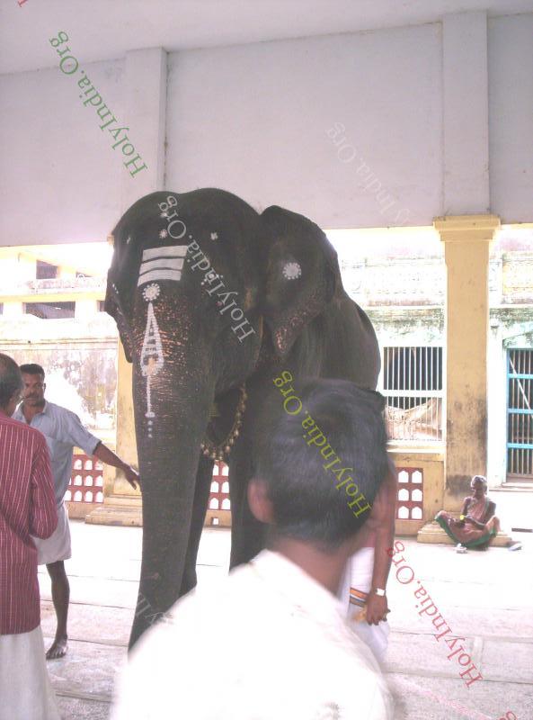 /templeimages/00110_040_thirukadaiyur_temple.jpg
