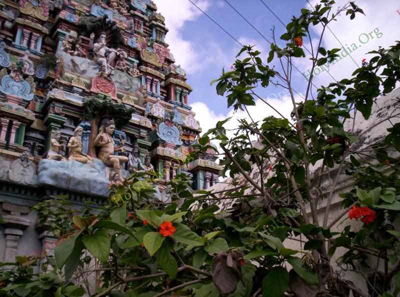 /templeimages/00110_068_thirukadaiyur_temple.jpg