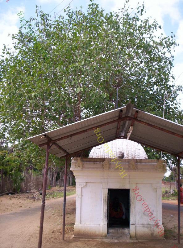 /templeimages/00111_148_thirumayanam_temple.jpg