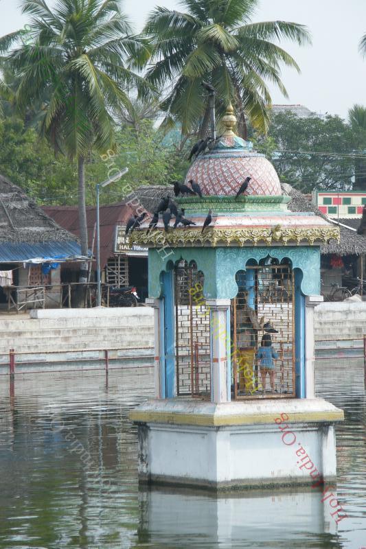 /templeimages/00115_004_thirunallar_temple.jpg
