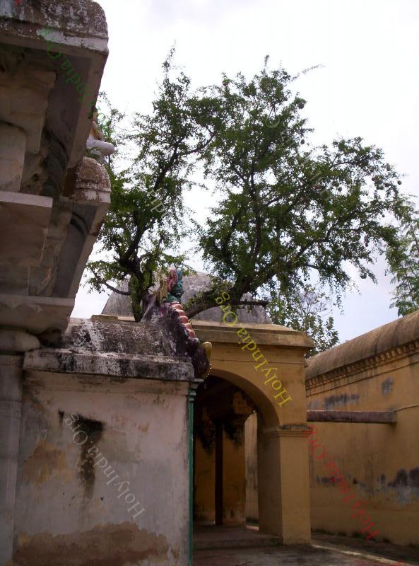 00131_001_sakkottai_temple.jpg