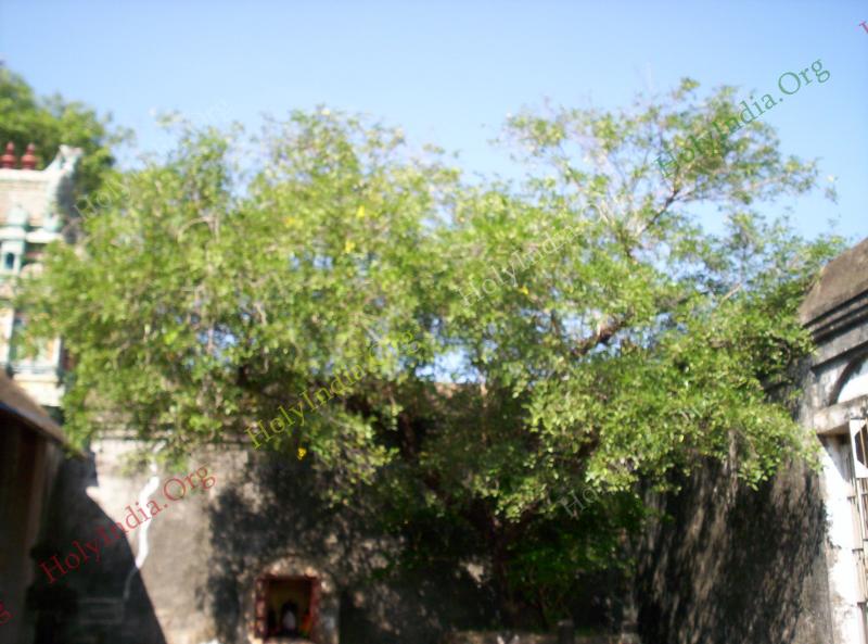 00144_001_thirusayathamangai_temple.jpg