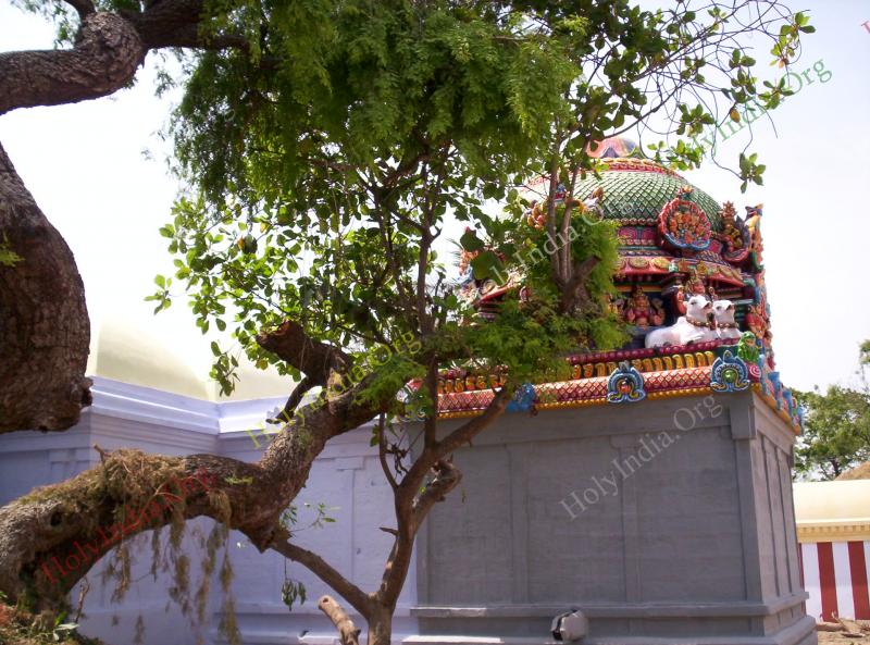 /templeimages/00162_007_arithuvaramangalam_temple.jpg