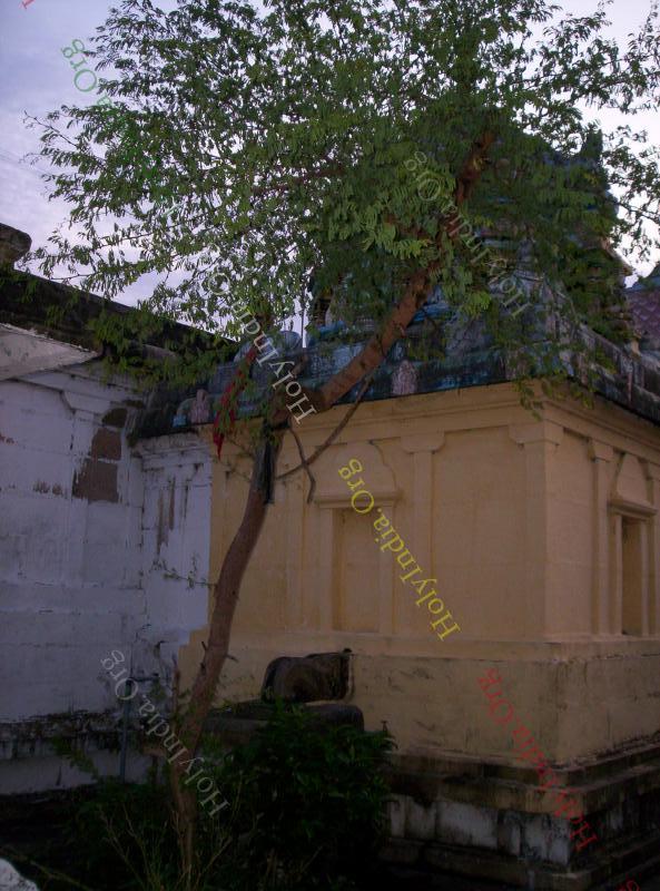 /templeimages/00178_008_thirukollikadu_temple.jpg