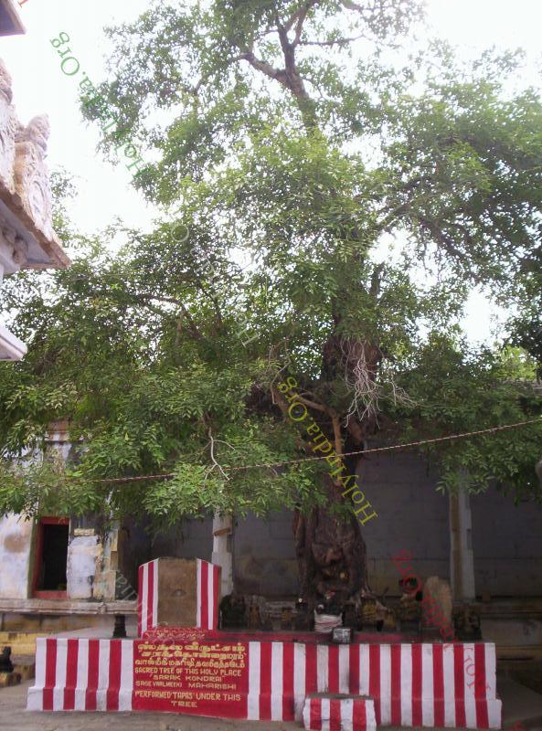 00196_001_thirupathur_temple.jpg