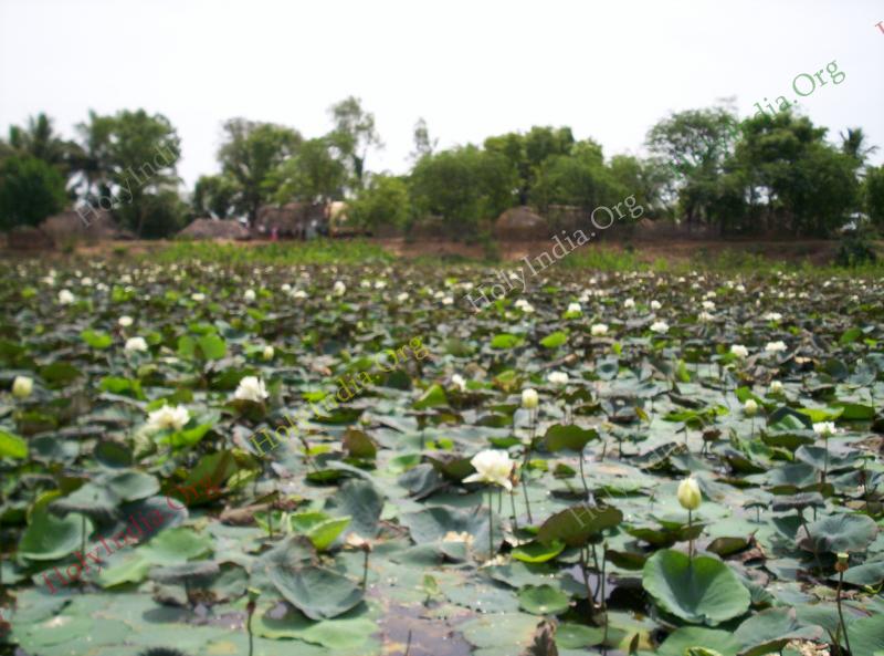 /templeimages/00216_003_rajendrapattinam_temple.jpg