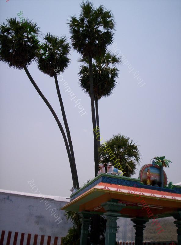 /templeimages/00242_003_thiruvathipuram_temple.jpg